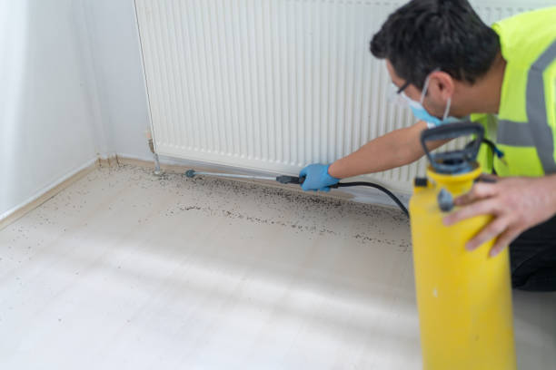 Best Cockroach Control Services  in Massanutten, VA